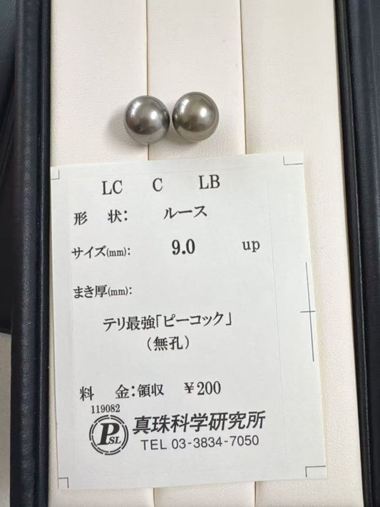 Tahitian platinum grey stud earrings