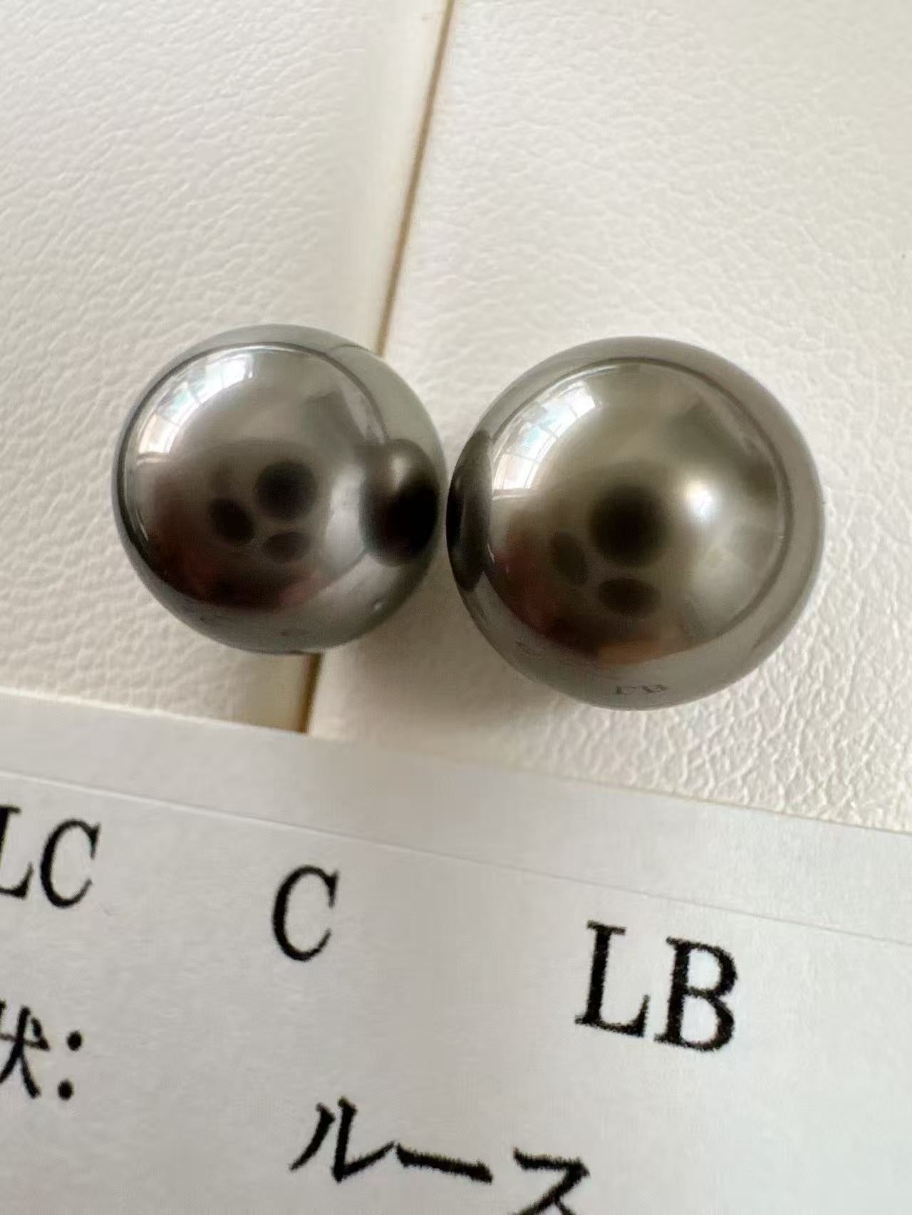 Tahitian platinum grey stud earrings