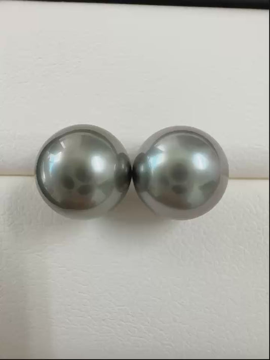Tahitian platinum grey stud earrings